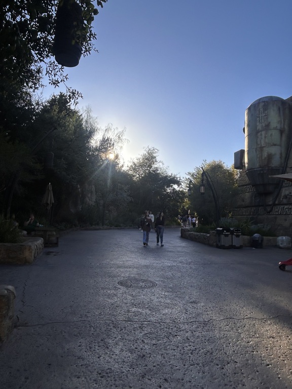 Disney land aesthetic  photo Tustin MUN