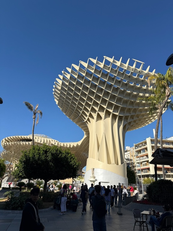 Setas de Sevilla!