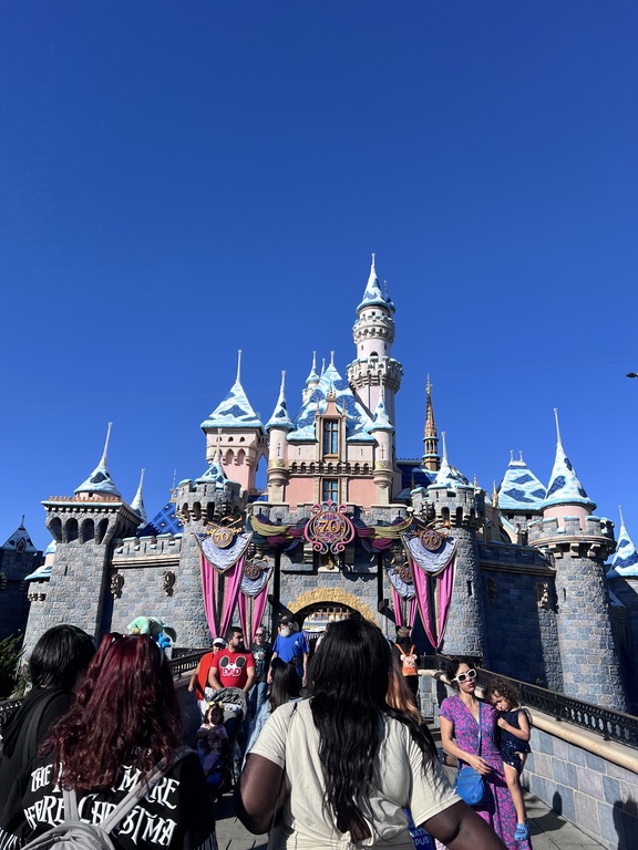 Disneyland leadership workshop trip