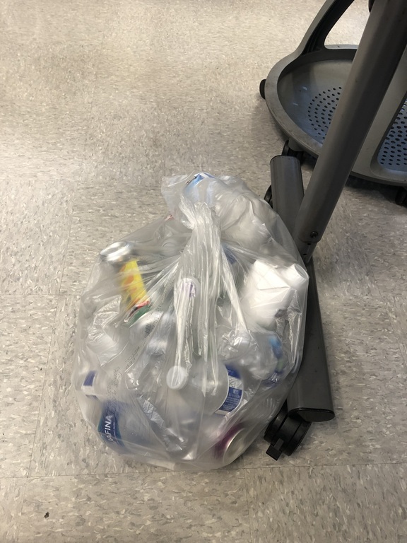 First haul of recycled bottles for the capstone!