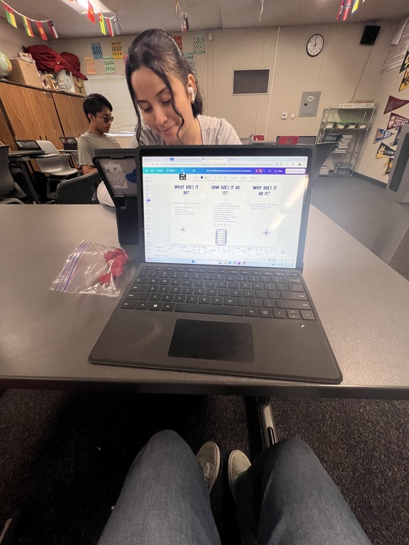 Working on our economic research project