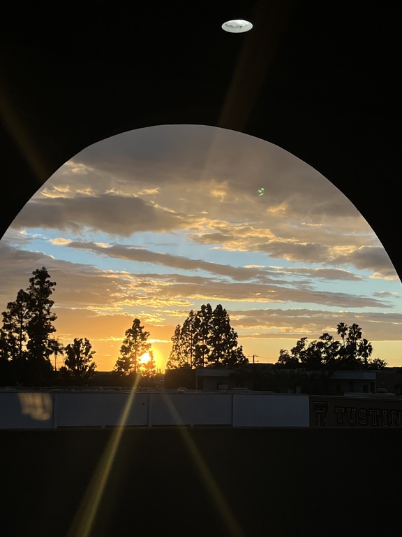 Views from THS MUN