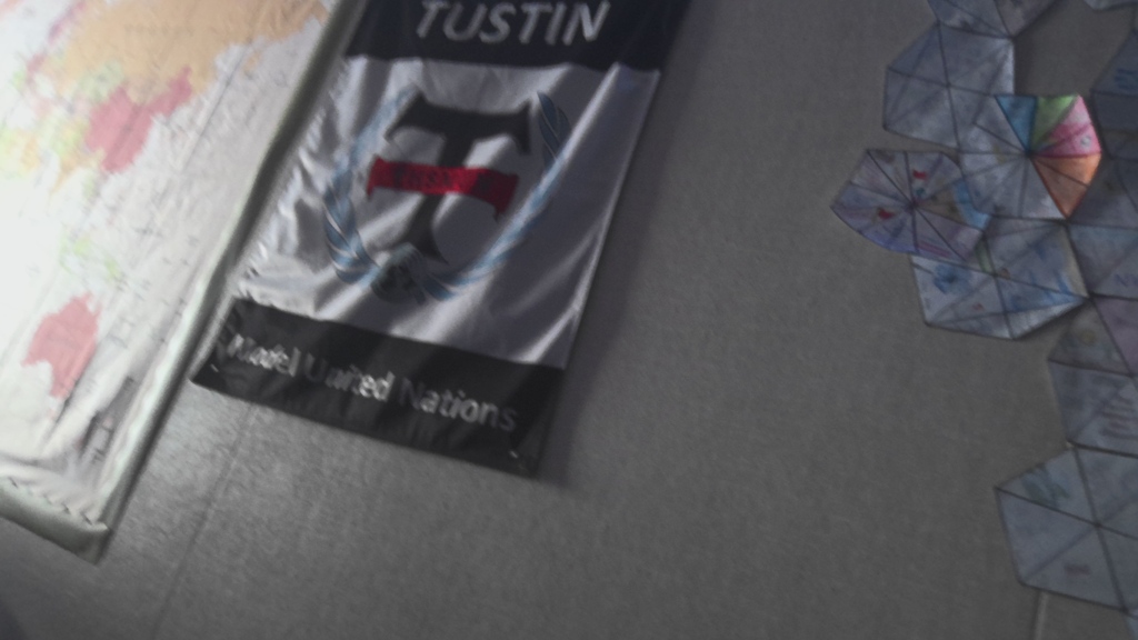 THSMUN banner