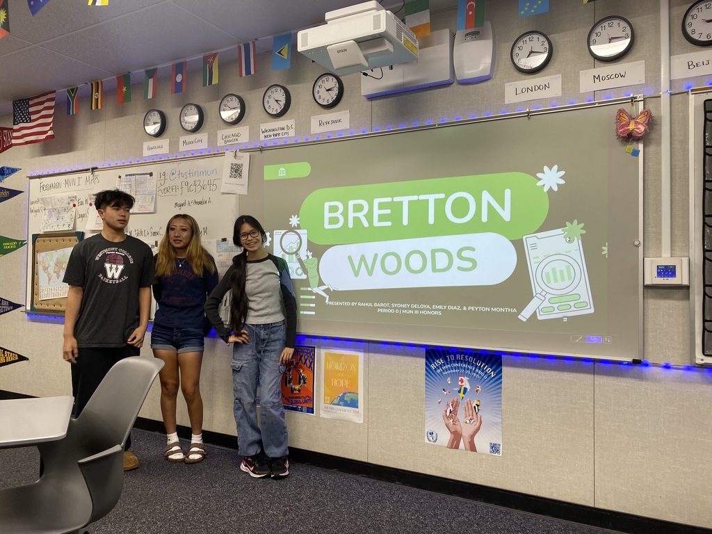 Economic Organizations- Bretton Woods