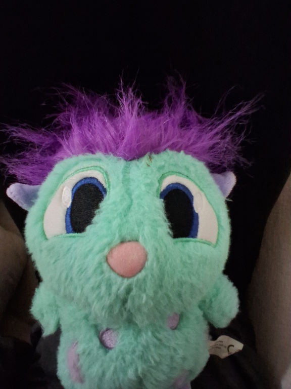 Bibble getting ready for MUN banquet on Friday