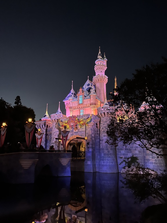 Disney leadership trip! The castle light are beautiful