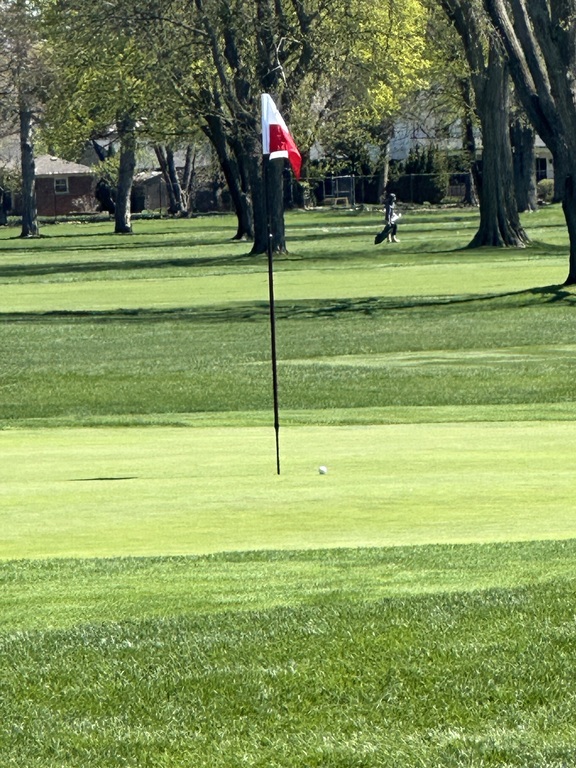 Approach shot at 17 almost holes out for eagle.