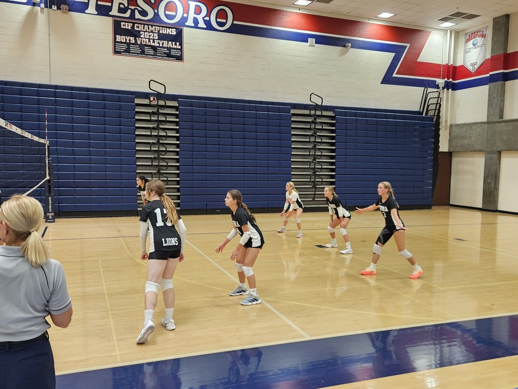 B next match! Go Lions!