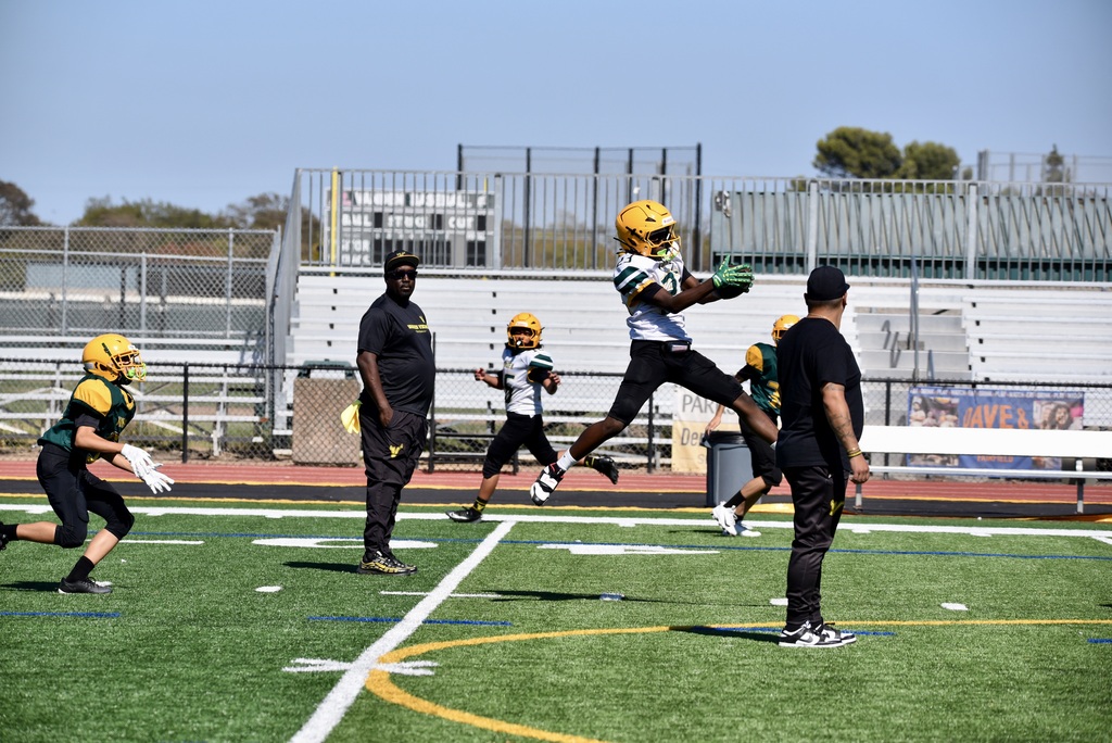 GREEN & GOLD GAME #1