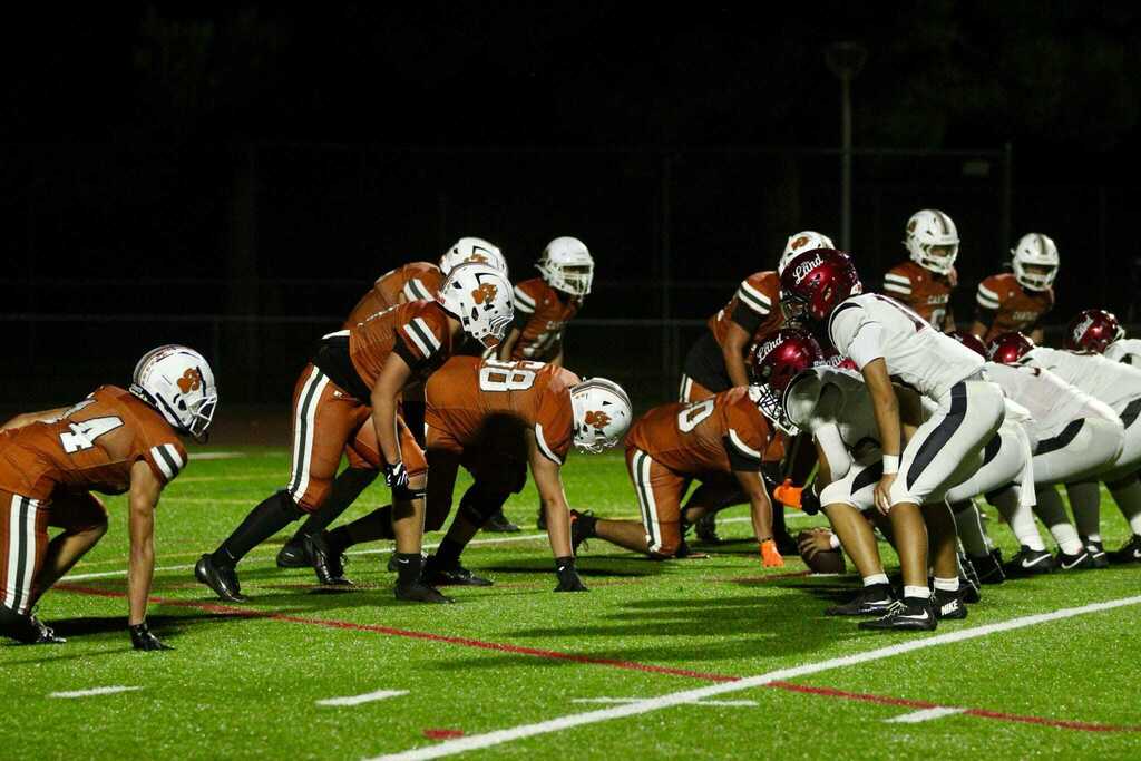 Defensive line in action