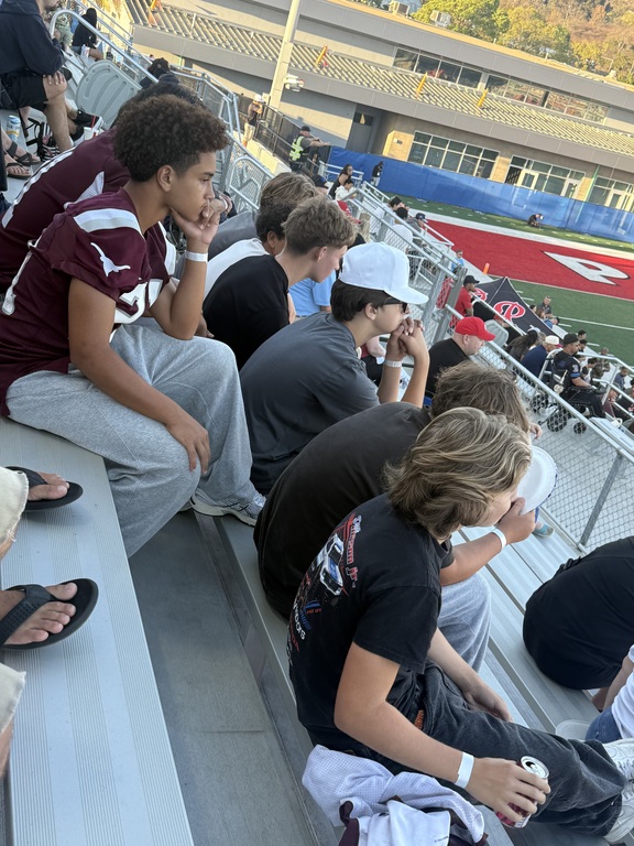 Palomar Game