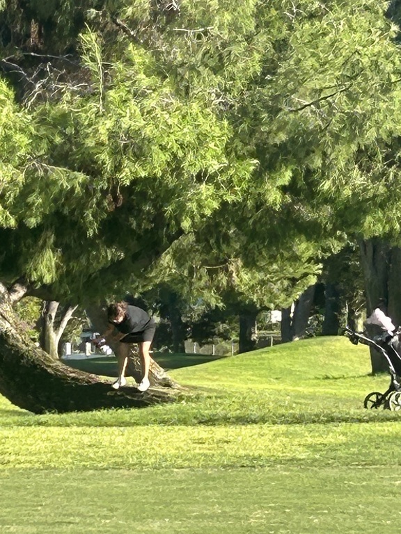 This is what we mean when we say, "Play it as it lies!"