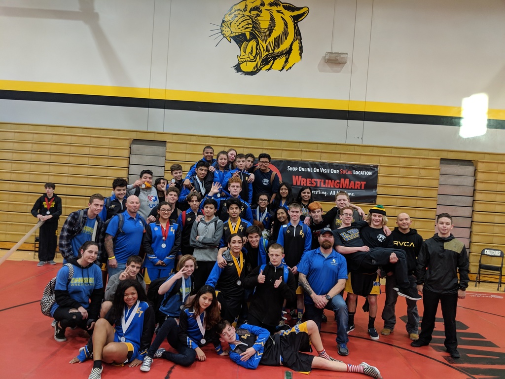 Team League Finals 2019