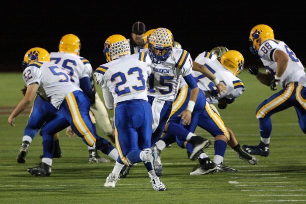 2015 Season Photo
