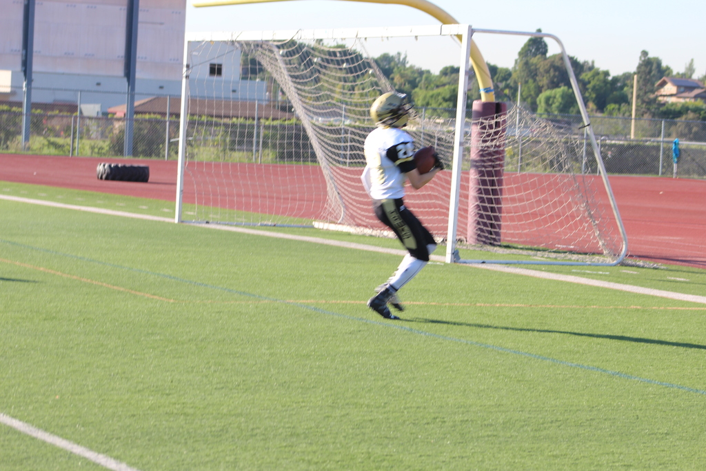 Touchdown Hawks