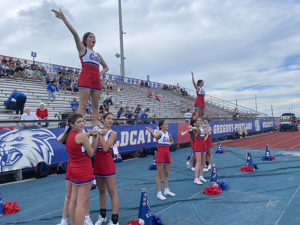 Go Cats Go!